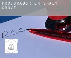 Procurador en  Shady Grove