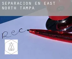 Separación en  East North Tampa