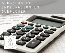 Abogados de inmigración en  Sunflower