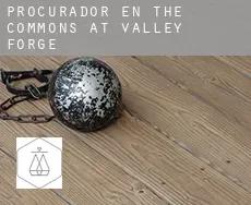Procurador en  The Commons at Valley Forge