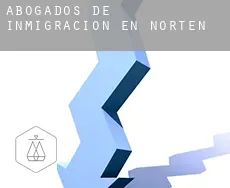 Abogados de inmigración en  Norten