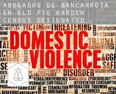 Abogados de bancarrota en  Old Fig Garden