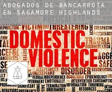 Abogados de bancarrota en  Sagamore Highlands