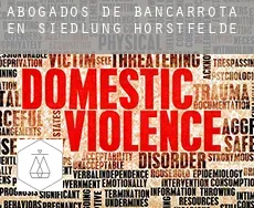 Abogados de bancarrota en  Siedlung Horstfelde