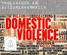 Procurador en  Ditzumerhammrich